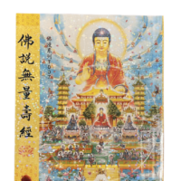佛説無量壽經