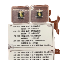 劉素雲老師講法